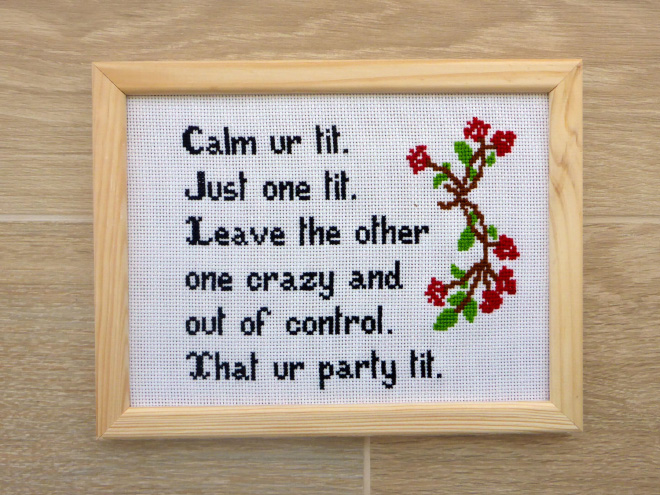 hilarious-cross-stitches15.jpg