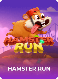 HAMSTER RUN