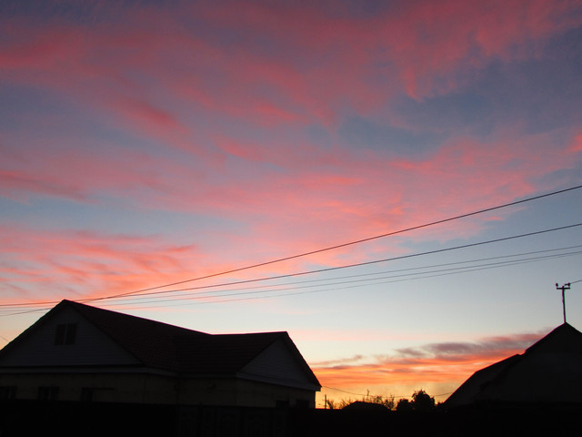 IMG-7233.jpg