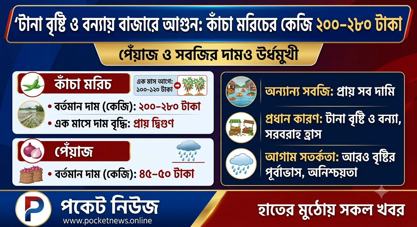 টানা বৃষ্টি ও বন্যার প্রভাবে বাজারে আগুন: কাঁচা মরিচের কেজি ২০০–২৮০ টাকা, বেড়েছে পেঁয়াজ ও সবজির দামও টানা বৃষ্টি ও বন্যার প্রভাবে বাজারে আগুন: কাঁচা মরিচের কেজি ২০০–২৮০ টাকা, বেড়েছে পেঁয়াজ ও সবজির দামও