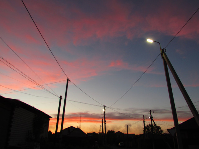 IMG-7237.jpg