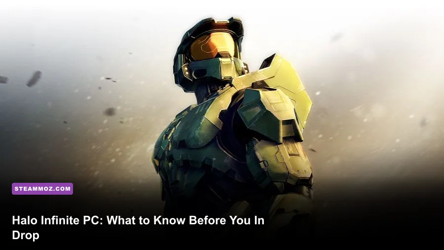 Master Chief overlooking Zeta Halo in Halo Infinite on PC