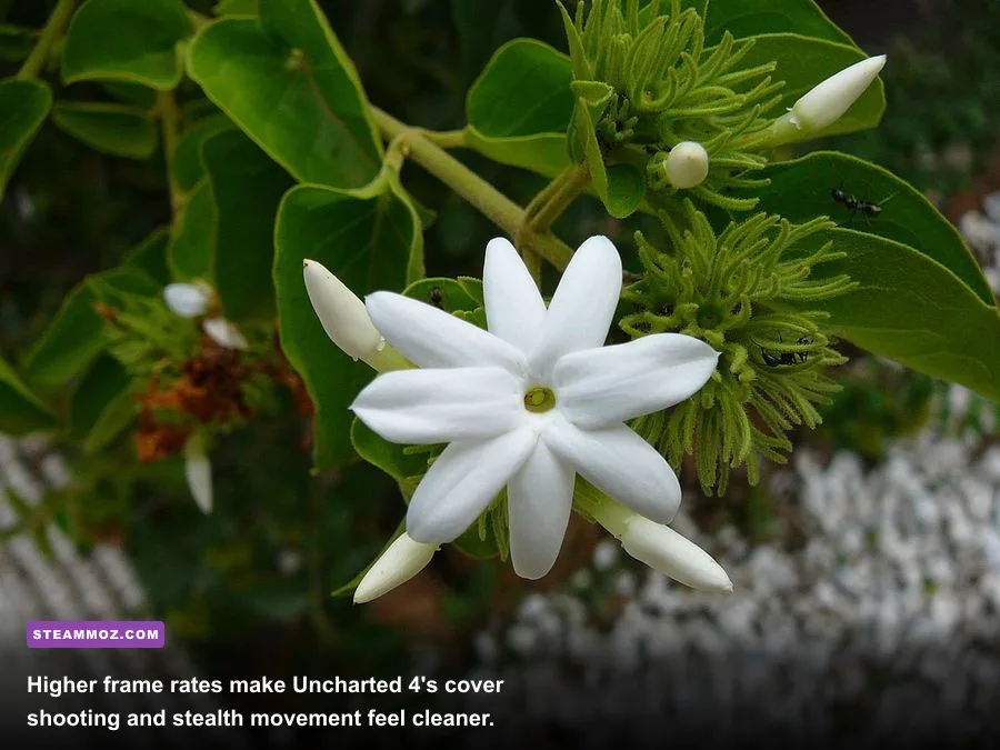 Nathan Drake taking cover during a combat encounter in Uncharted 4 on PC