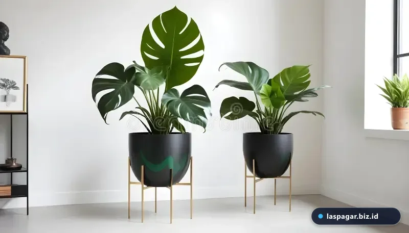 Tanaman hias indoor estetik untuk standing pot besi industrial ruang tamu