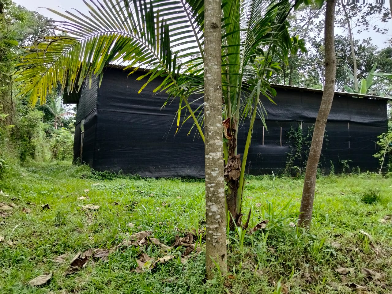 Tanah SHM 1.302 m² dengan Gudang Budidaya Jamur