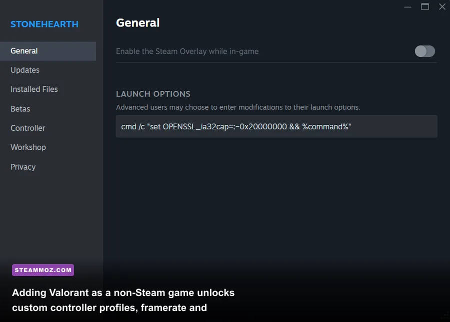Steam client properties window configuring launch arguments for non-Steam games