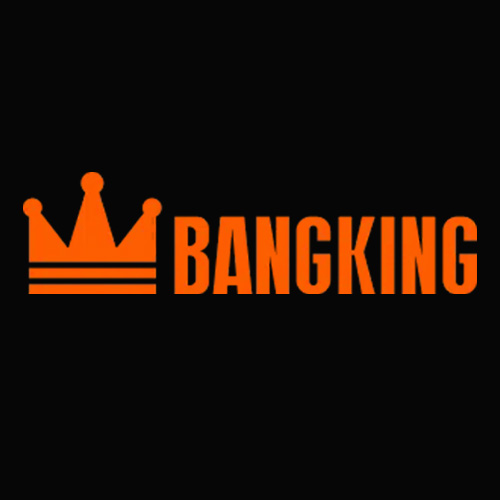 Bang King Vape公式ストア｜Bangkingを格安の卸売価格で購入 | 日本 BANG KING