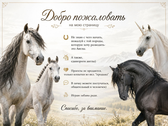 Whats-App-Image-2026-09-03-at-15-48-42