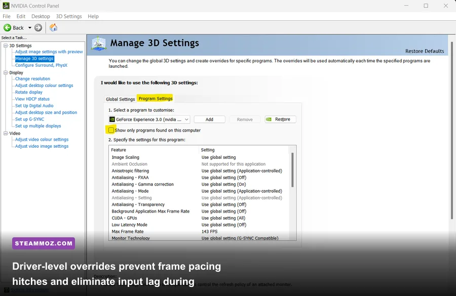 Nvidia Control Panel configured for maximum frame rate and low latency