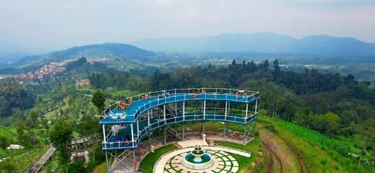 Wana Mukti Sigede Kaliangkrik Wisata Hutan Pinus Magelang