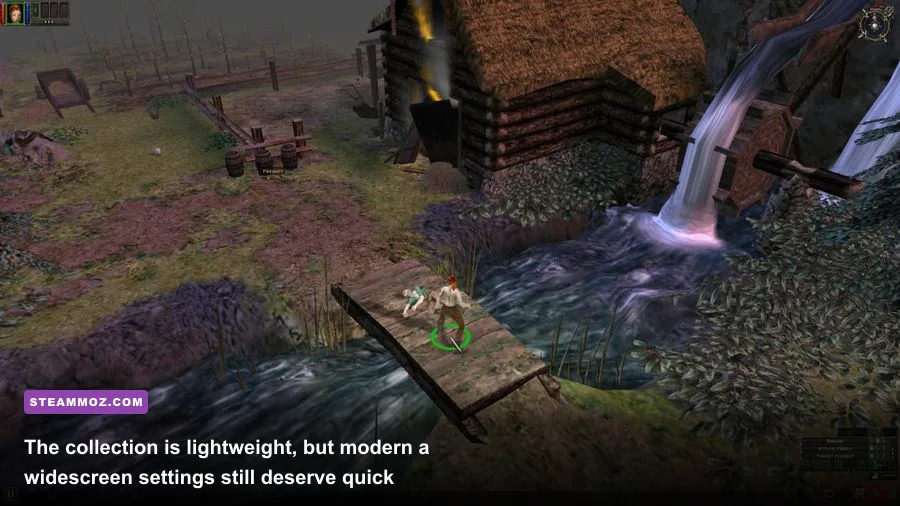 Dungeon Siege Collection running on a modern PC at 1080p