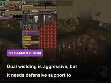 Dungeon Siege 2 dual wield warrior fighting enemies