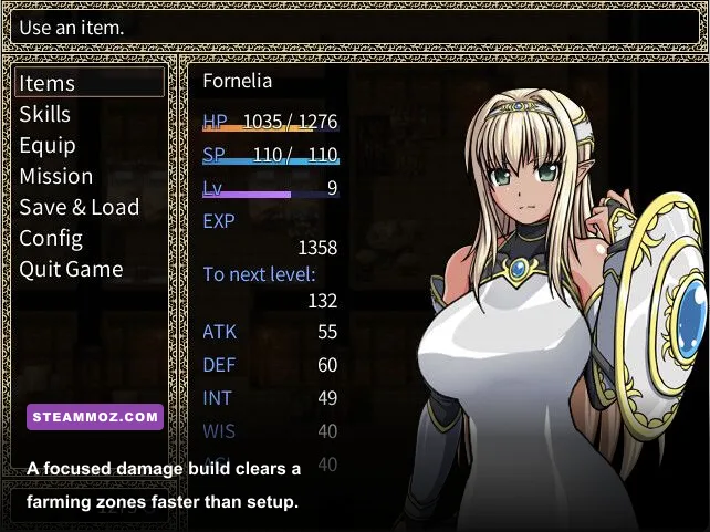 ELF character stats and equipment screen showing an efficient leveling build