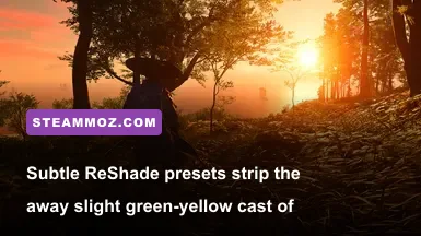Lush Tsushima forest with cinematic lighting and custom color grading