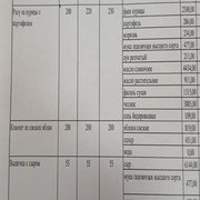 25 апта 2 күн,       25 неделя 2 день