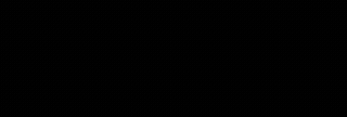 DANA4D Logo