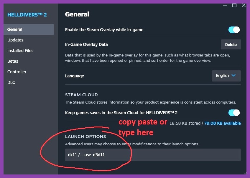 Steam game properties window showing launch options box for custom commands
