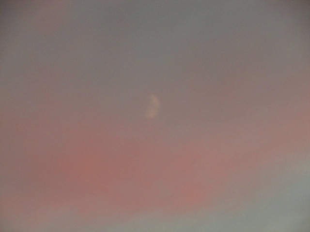 IMG-7428.jpg
