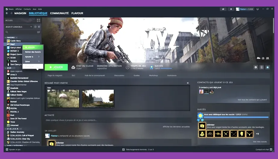 Steam client properties launch options command box for DayZ optimization