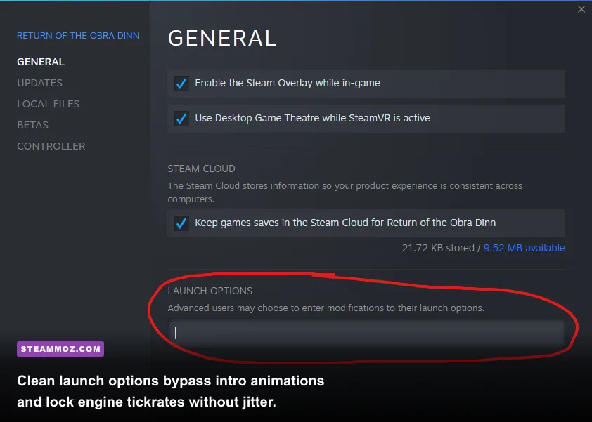 Steam game launch options property panel configured for maximum performance