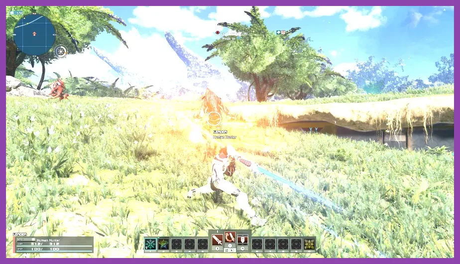 Phantasy Star Online 2 New Genesis character customization and combat