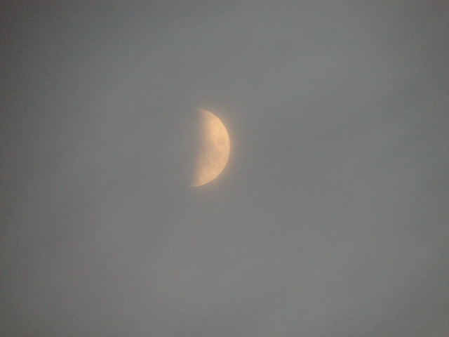 IMG-7438.jpg