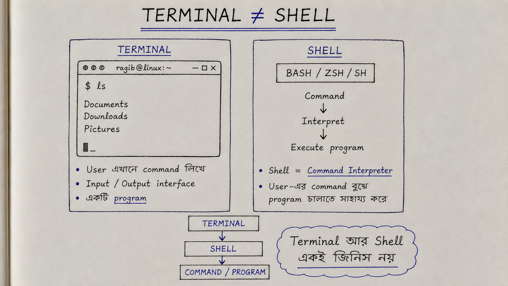 Terminal and Shell