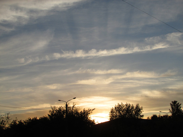 IMG-7209.jpg
