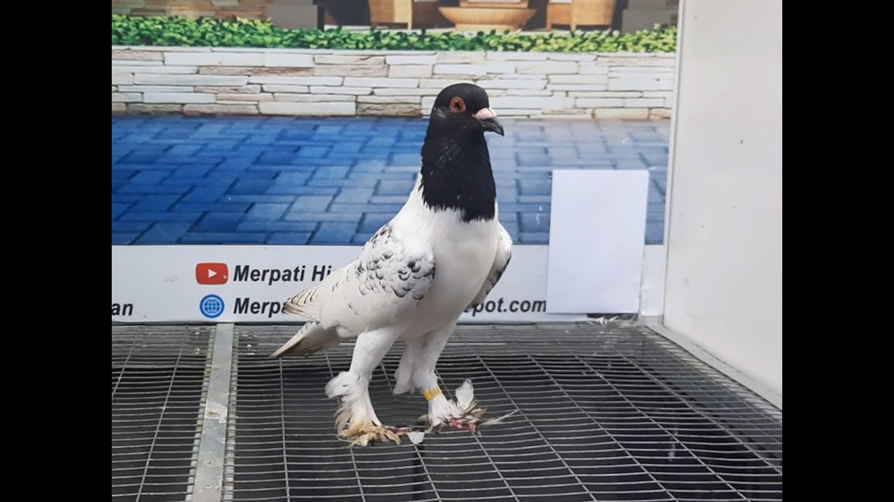 Hana Pouter 31052021