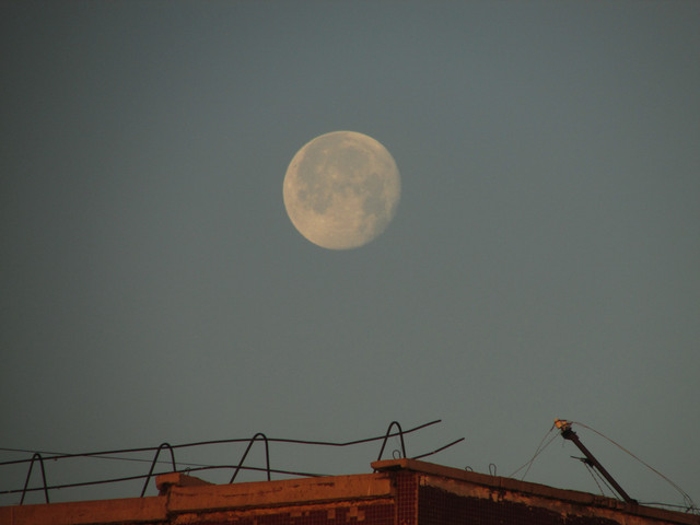 IMG-7316.jpg