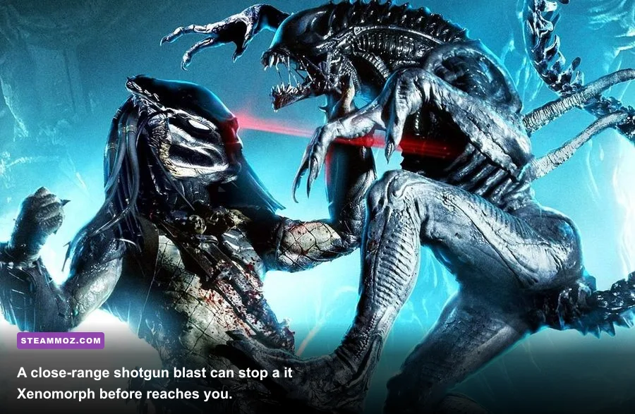 Colonial Marine using a shotgun against a Xenomorph in Aliens vs. Predator
