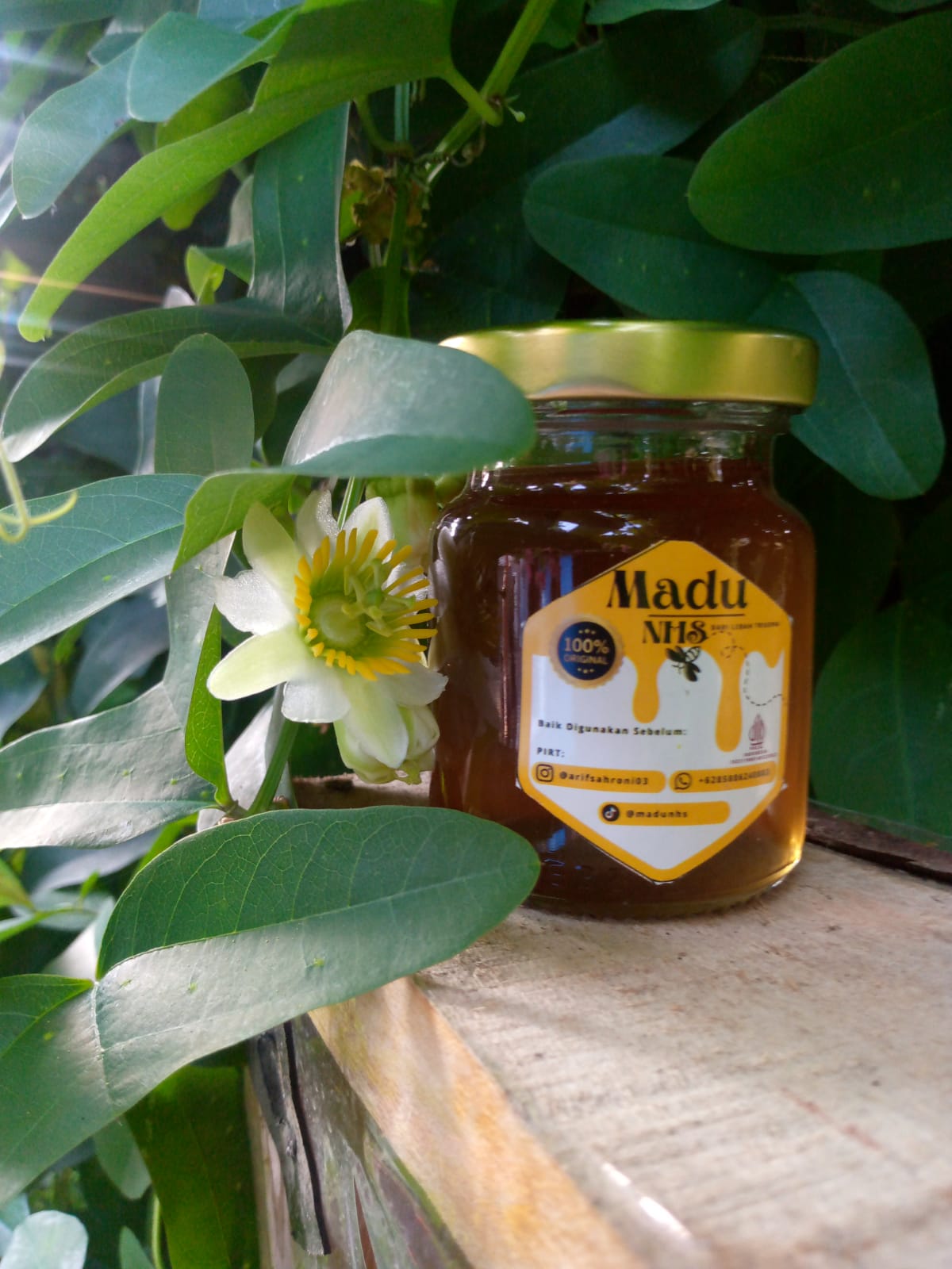Madu Trigona Premium