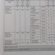 33 апта 1 күн,                    33 неделя 1 день