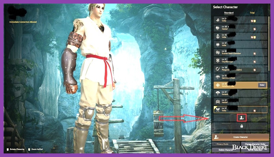 Black Desert Online detailed character customization screen