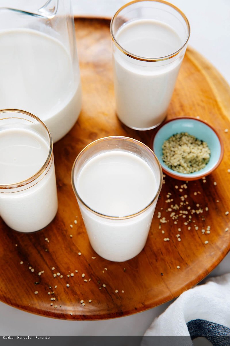 Susu Hemp Segar Buatan Rumah – Kaya Protein Tanpa Susah