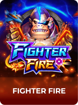 FIGHTER FIRE
