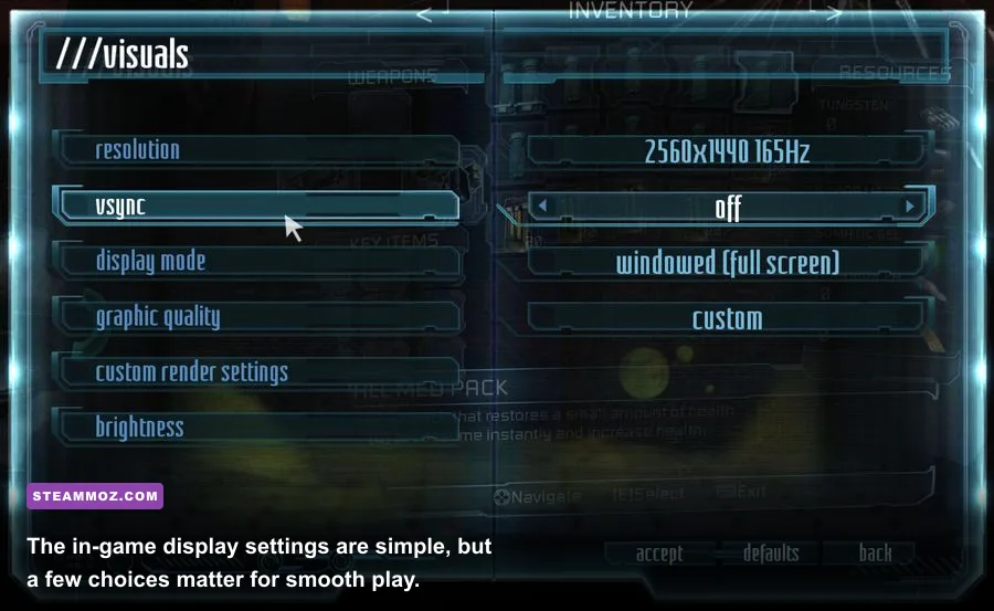 Children of Morta PC graphics settings menu showing resolution and VSync options