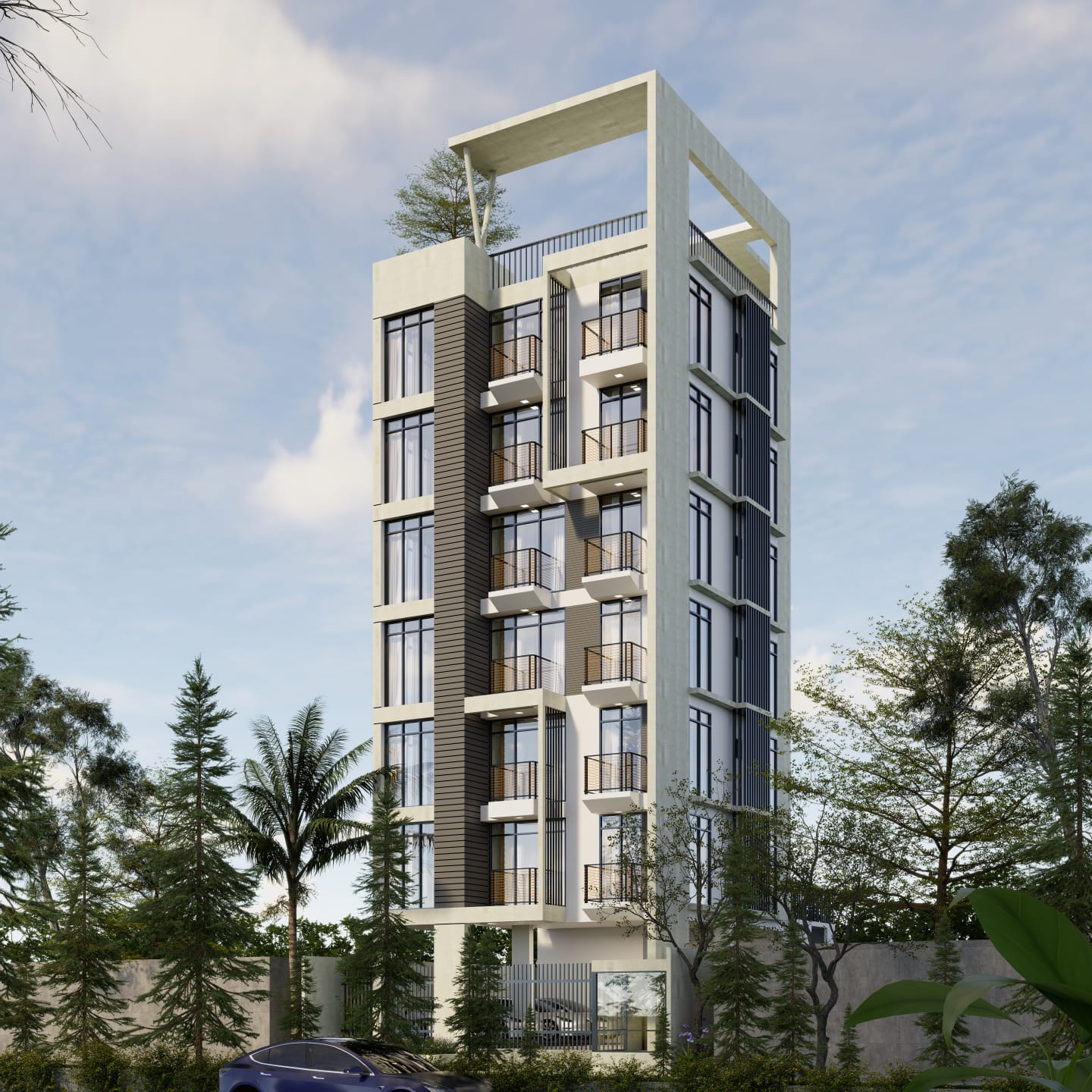 President Dokhina project view