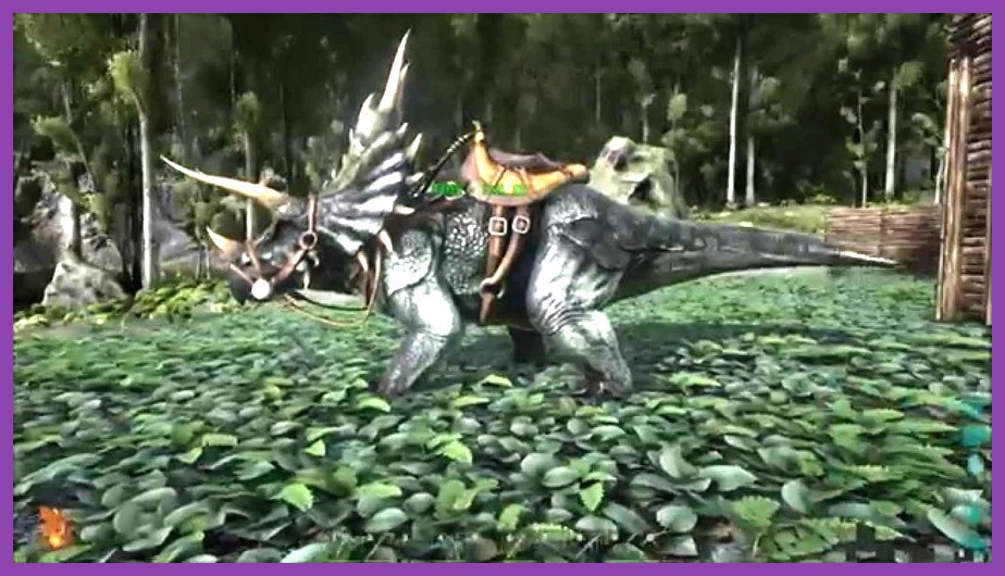 A Triceratops harvesting berries from bushes in ARK Survival Evolved
