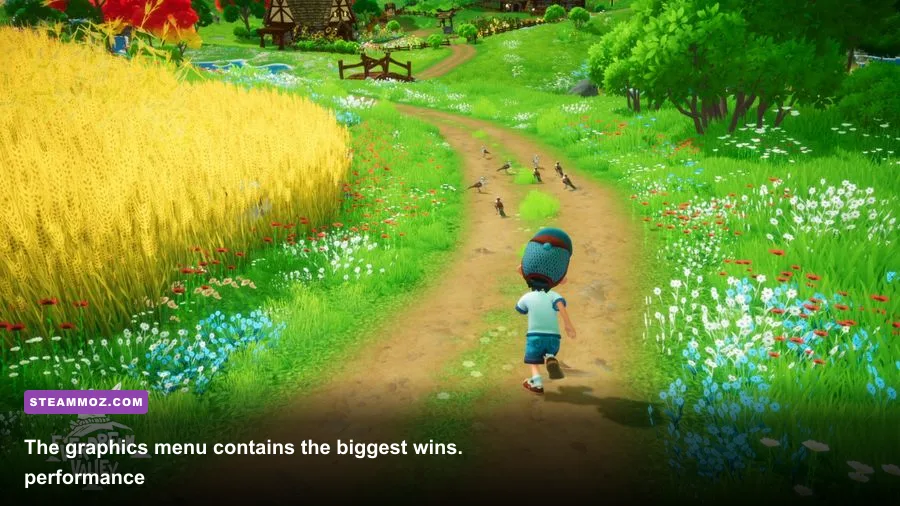 Everdream Valley PC graphics settings menu showing resolution shadows and foliage options