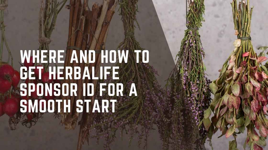 Where-and-How-to-Get-Herbalife-Sponsor-ID-for-a-Smooth-Start