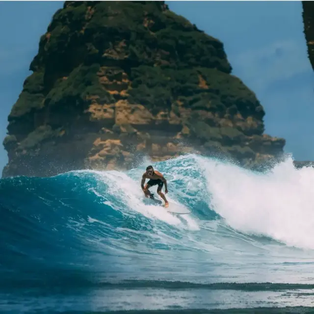 Surf Experience