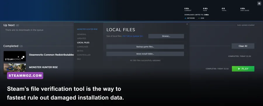 Steam properties window for verifying Blackguards 2 local game files