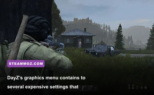 DayZ PC graphics settings menu showing performance options