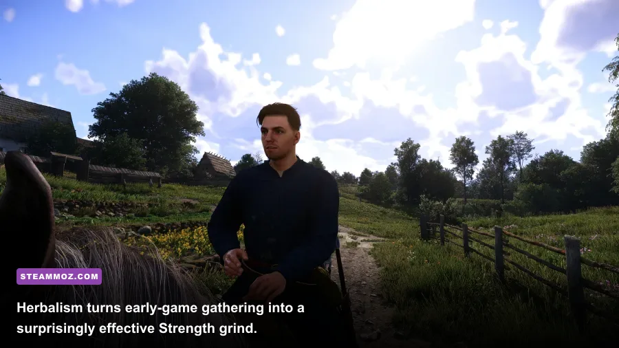 Henry picking herbs to level Herbalism and Strength in Kingdom Come Deliverance