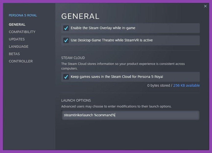 Steam launch options properties window