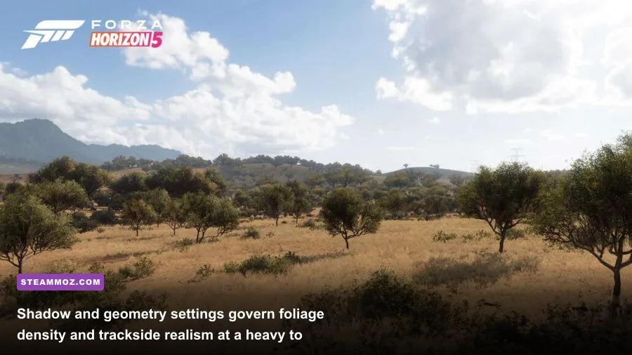 Dynamic sunlight breaking through trees in Forza PC showcasing shadows and foliage geometry