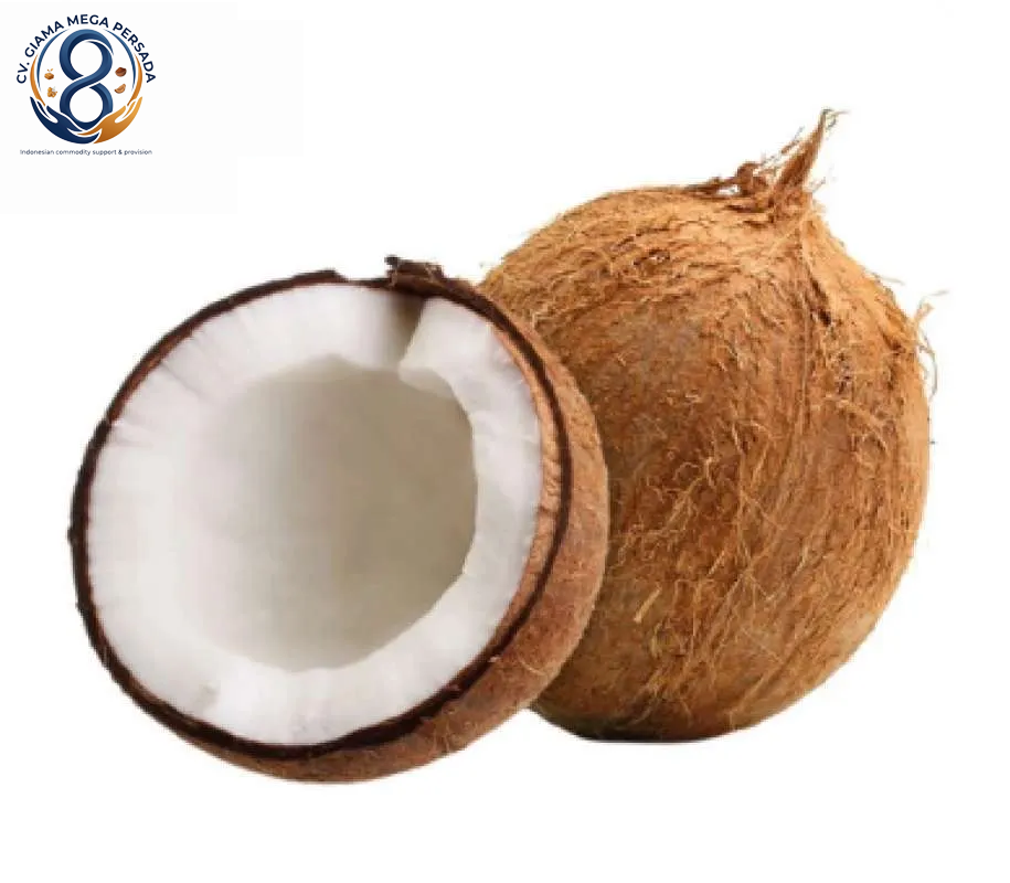 Whole Coconuts