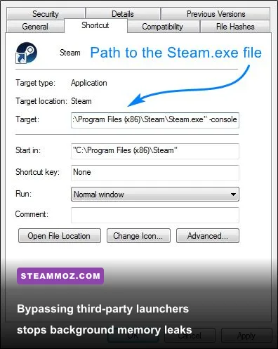 Steam game properties launch options input window