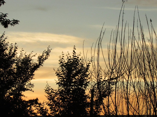 IMG-7216.jpg